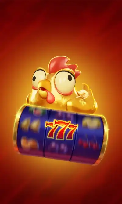 Chicken Coin Chicken Coin